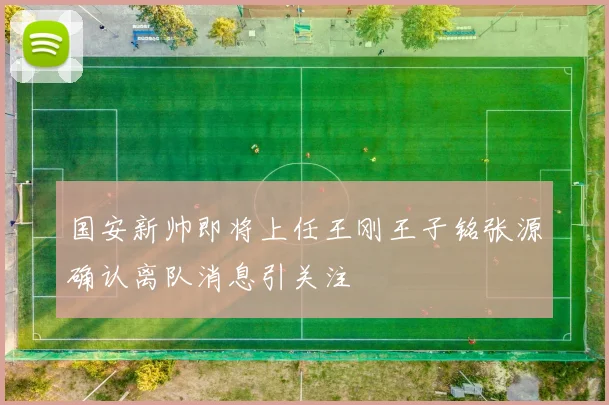 国安新帅即将上任王刚王子铭张源确认离队消息引关注