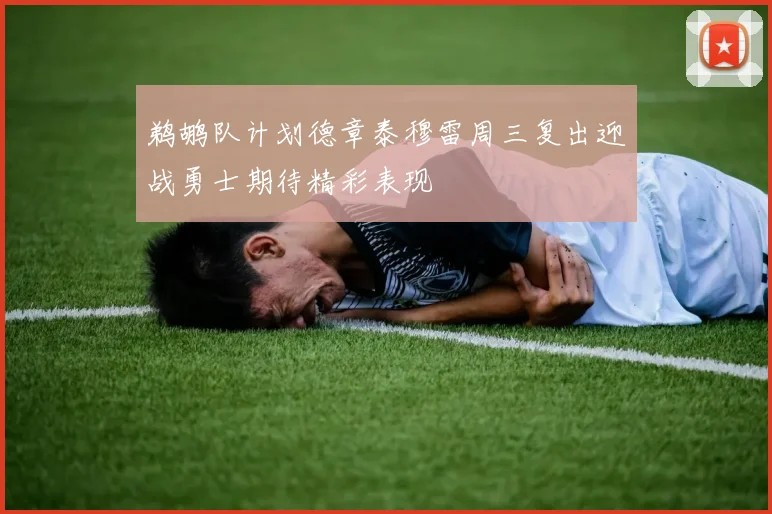 鹈鹕队计划德章泰穆雷周三复出迎战勇士期待精彩表现