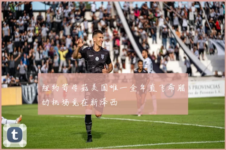 纽约寄母菇美国唯一全年直飞希腊的机场竟在新泽西