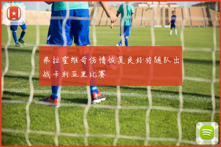 弗拉霍维奇伤情恢复良好将随队出战卡利亚里比赛